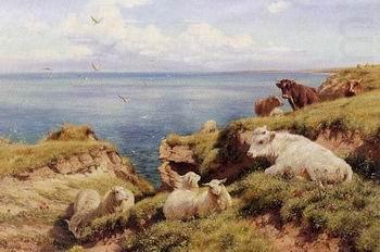 Sheep 164, unknow artist